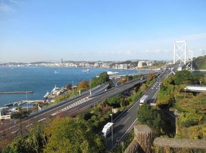 IMG_5584.jpg