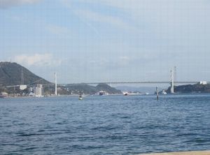 IMG_5632.jpg