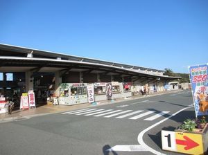 IMG_5776.jpg