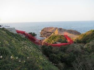 IMG_5818.jpg