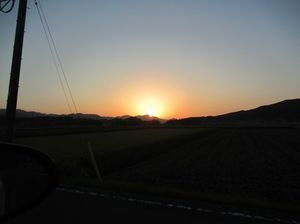 IMG_5831.jpg