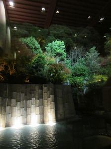 IMG_5863.jpg