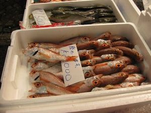IMG_6085.jpg