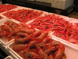 IMG_6089.jpg