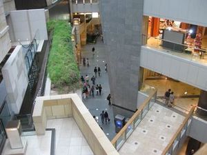 IMG_6180.jpg