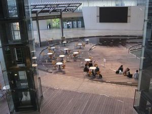IMG_6198.jpg