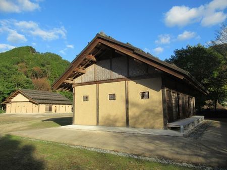 IMG_6383.jpg