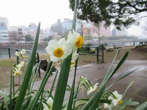 IMG_6523.jpg