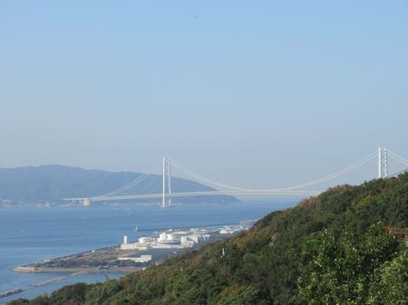 IMG_6557.jpg