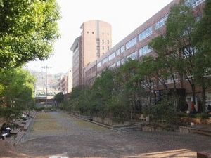 IMG_6687.jpg