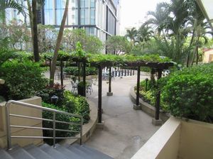 IMG_6981.jpg
