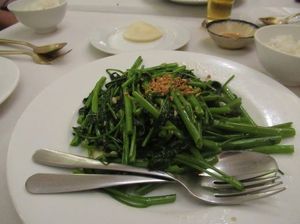 IMG_7049.jpg