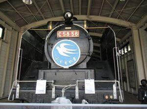 IMG_7070.jpg