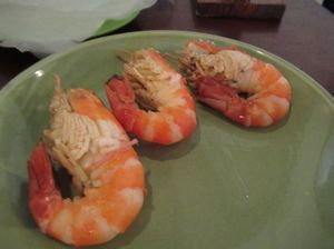 IMG_7283.jpg