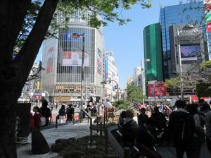 IMG_7424.jpg