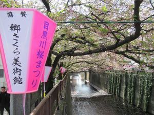 IMG_7889.jpg