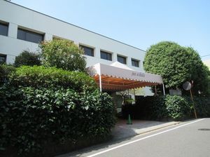 IMG_7917.jpg