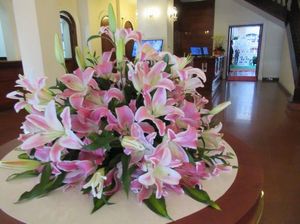 IMG_8099.jpg