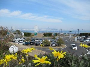 IMG_8277.jpg