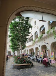 IMG_8283.jpg