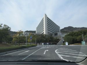 IMG_8306.jpg