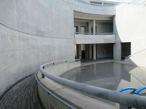 IMG_8310.jpg