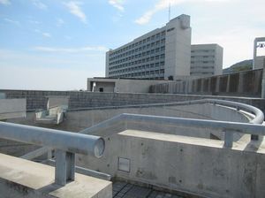 IMG_8319.jpg