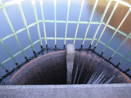 IMG_8420.jpg