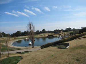 IMG_8438.jpg
