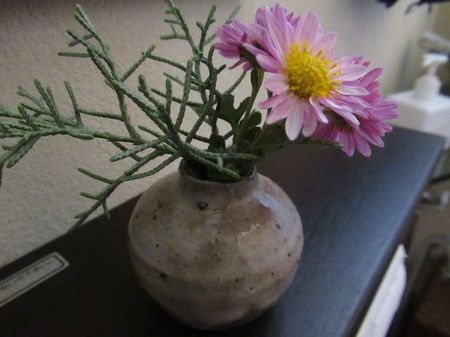 IMG_8440.jpg