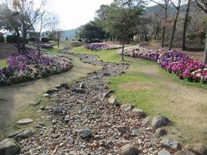 IMG_8454.jpg