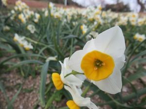 IMG_8468.jpg