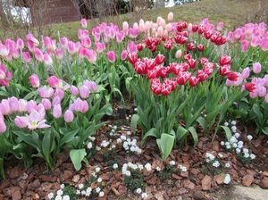 IMG_8479.jpg
