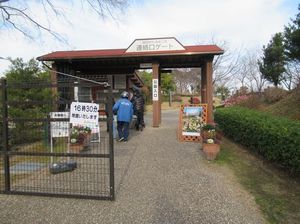 IMG_8480.jpg