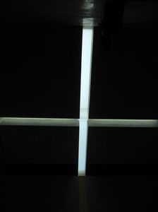 IMG_8489.jpg