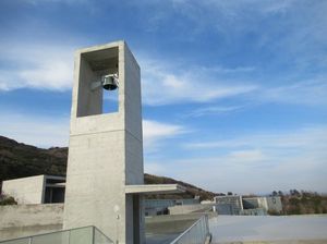 IMG_8493.jpg