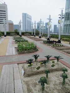 IMG_8531.jpg