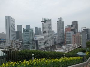 IMG_8542.jpg