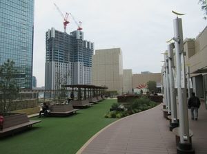 IMG_8544.jpg