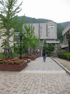 IMG_8705.jpg