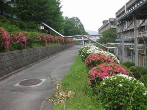 IMG_8709.jpg