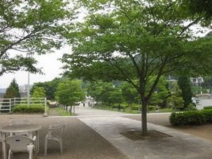 IMG_8715.jpg