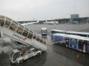 IMG_8905.jpg