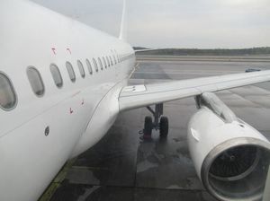 IMG_8937.jpg