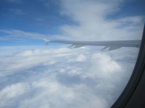 IMG_8951.jpg