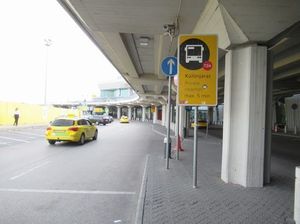 IMG_9004.jpg