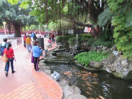 IMG_9011.jpg