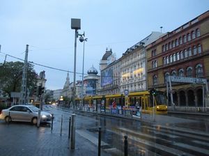 IMG_9067.jpg