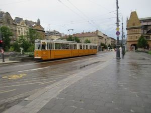 IMG_9089.jpg