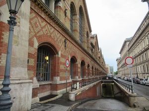IMG_9091.jpg